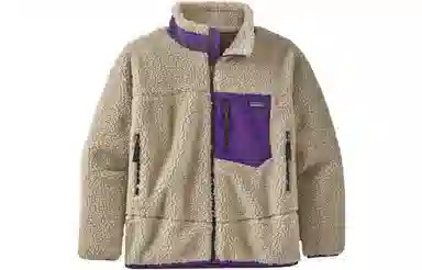 patagonia Retro-X Fleece Jacket