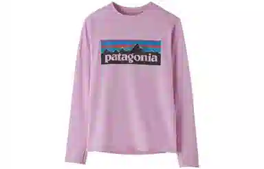 patagonia T