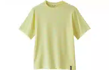 patagonia T