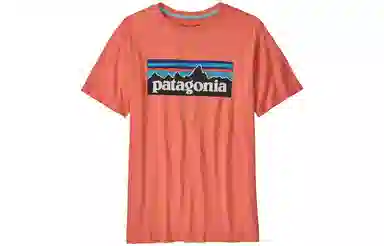 patagonia T