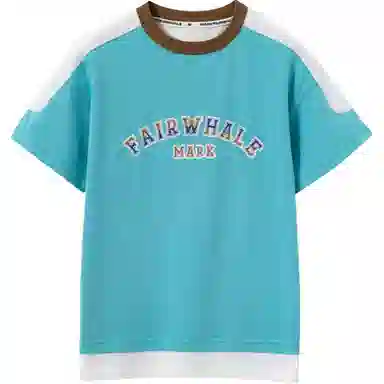 FAIRWHALE T