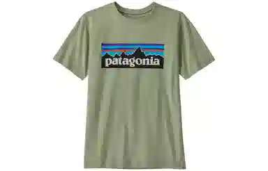 patagonia T