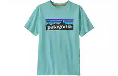 patagonia T