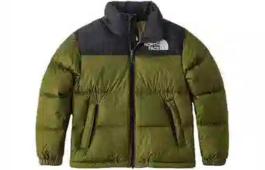 THE NORTH FACE LogoICON700