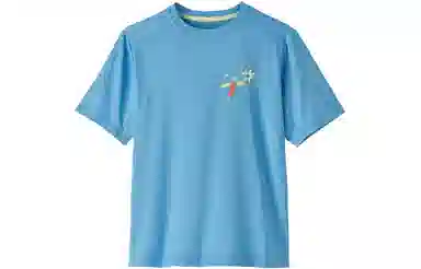 patagonia T
