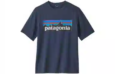 patagonia T