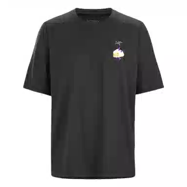 Arcteryx CORMAC logoGGMZLogoT