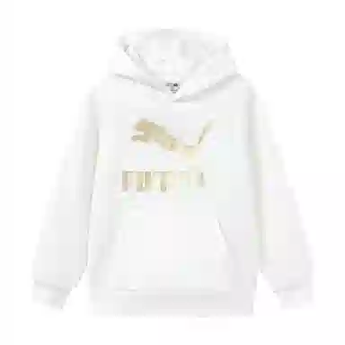 PUMA SportstyleCLASSICS BIG LOGO HOODIE