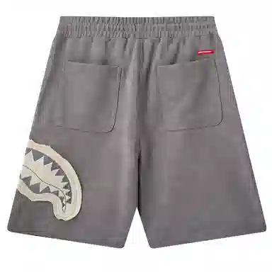 Sprayground Shorts