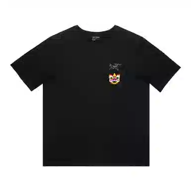 Arcteryx Extraordinary LogoT