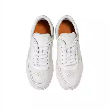 THOM WILLS trainer