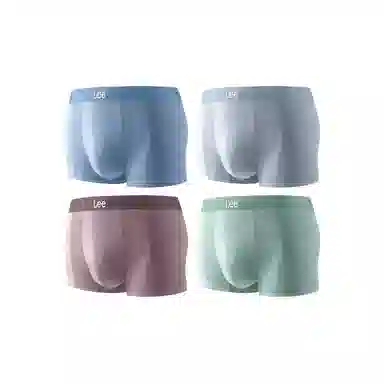 Lee 4