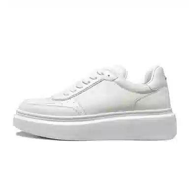 THOM WILLS trainer