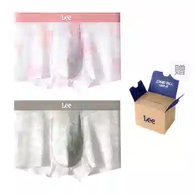 Lee 10A 2