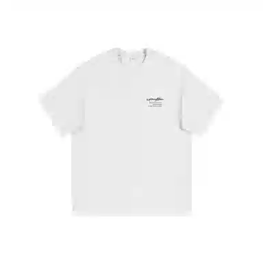 Lightning X Storm Logo300gT