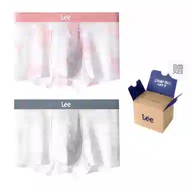 Lee 10A 2