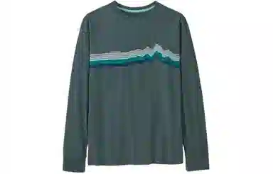 patagonia T