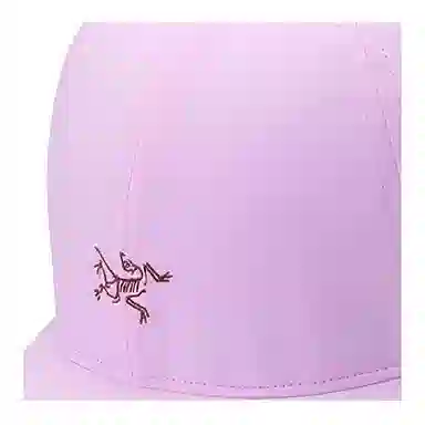 Arcteryx Logo