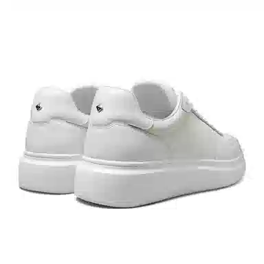 THOM WILLS trainer