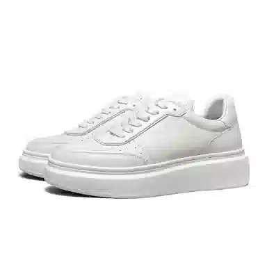 THOM WILLS trainer