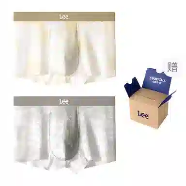 Lee 10A 2