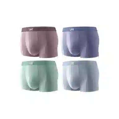 Lee 4