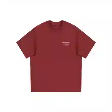 Lightning X Storm Logo300gT