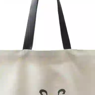 ZARA x XI XING LE Tote