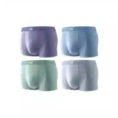Lee 4