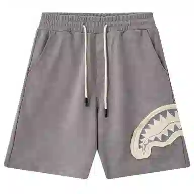 Sprayground Shorts