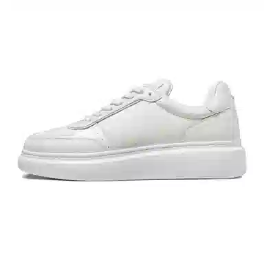 THOM WILLS trainer