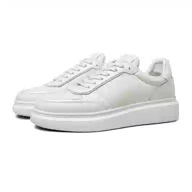 THOM WILLS trainer