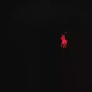 Polo Ralph Lauren LogoT