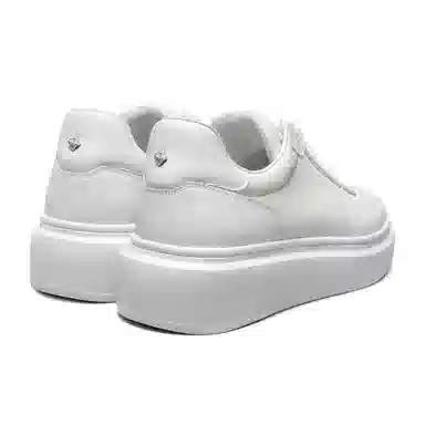 THOM WILLS trainer