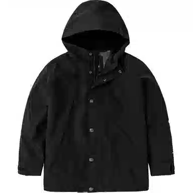 THE NORTH FACE 1994 Mountain JKT Logo