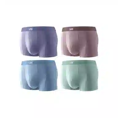 Lee 4