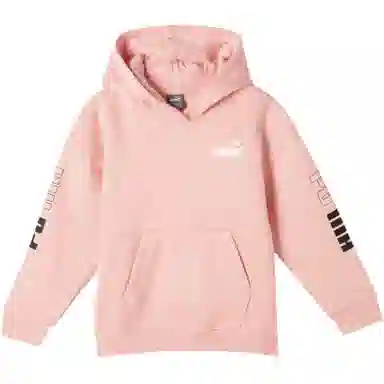 PUMA POWER COLORBLOCK HOODIE