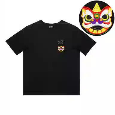 Arcteryx Extraordinary LogoT