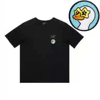 Arcteryx Extraordinary logoT