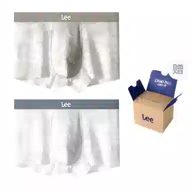 Lee 10A 2