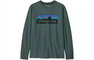 patagonia T