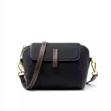 包包女实用通勤高级感小众时尚百搭简约个性潮流休闲轻便 牛皮 斜挎包 小号 女款 多色