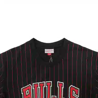 Mitchell Ness T 91