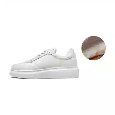 THOM WILLS trainer