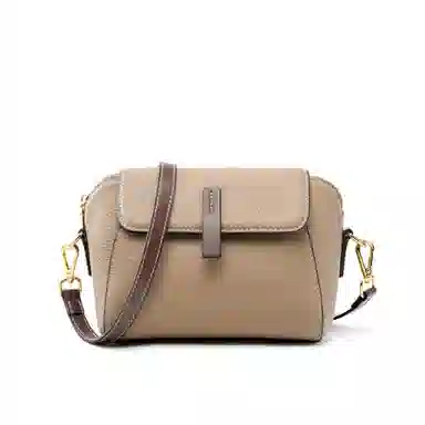 包包女实用通勤高级感小众时尚百搭简约个性潮流休闲轻便 牛皮 斜挎包 小号 女款 多色