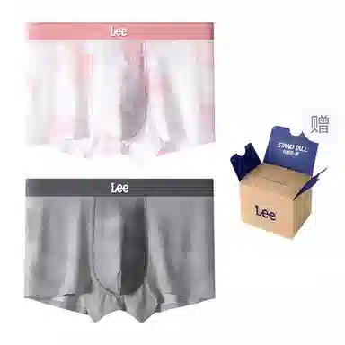 Lee 10A 2