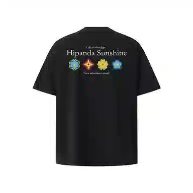 HIPANDA T