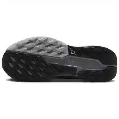 Nike Pegasus Trail 5