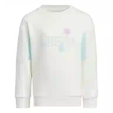 adidas City Escape Graphic Crew Sweater Logo