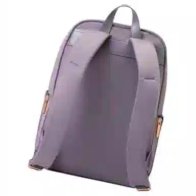 Samsonite Backpack